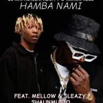 DJ Maphorisa, Xduppy & TmanXpress – Hamba nami (Quantum Sound) ft. Mellow & Sleazy, Shaunmusiq