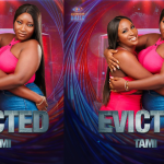 Tami (Damilola and Toyosi) Evicted From Big Brother Naija Season 9 2024 Week 1