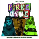Meneer Cee ft. Jay Music, Mega x Chakie & Naiidy - Pikkewyne Remix MP3 Download