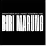 Tebogo G Mashego & Mr Pillato – Biri Marung ft. DJ Maphorisa Mp3 Download