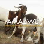 Amazwe by Kabza De Small