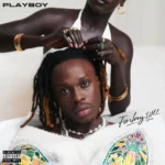 Fireboy DML – Playboy (Album)