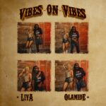 Liya - Vibes Feat. Olamide