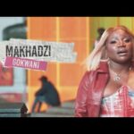 Makhadzi - Gokwani