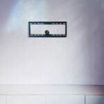 Loyaty boy – Pure love