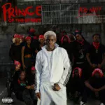 Ayo Maff feat. Seyi Vibez - Gang