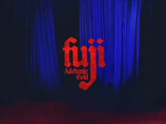 Adekunle Gold - Bobo