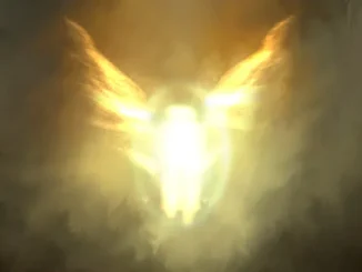 Dave - The Boy Who Played the Harp