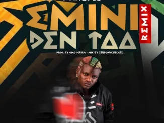 Portable - Emini Den Taa