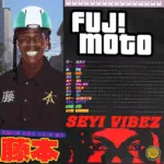Seyi Vibez - FUJI PARTY
