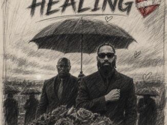 Phyno - Healing